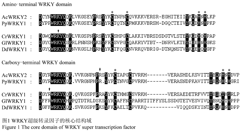 wrky转录因子的结构及其在植物抗逆境胁迫中的功能