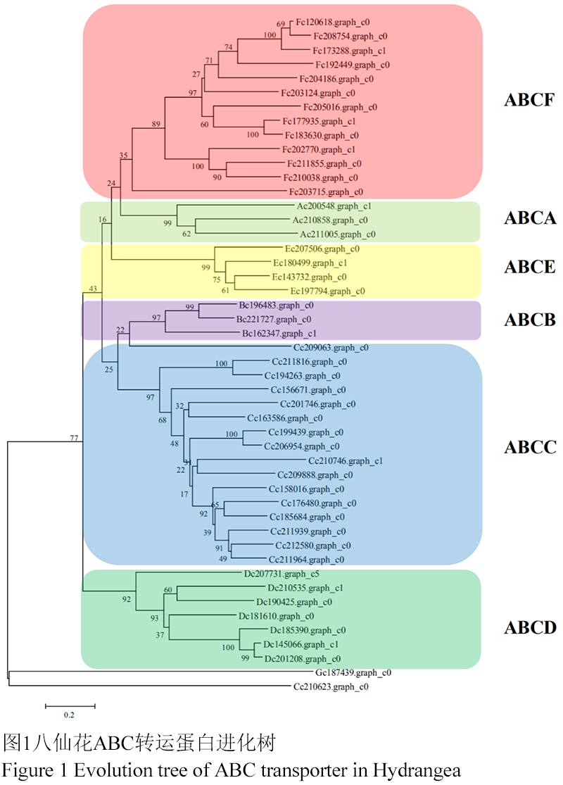 铝胁迫下八仙花ABC转运蛋白基因家族的鉴定与生物信息学分析| 陈海霞| 《分子植物育种》网络版