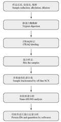 封面图片