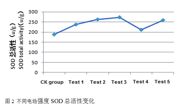 封面图片