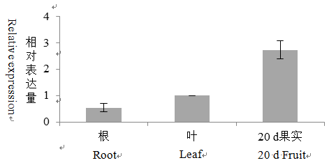 封面图片