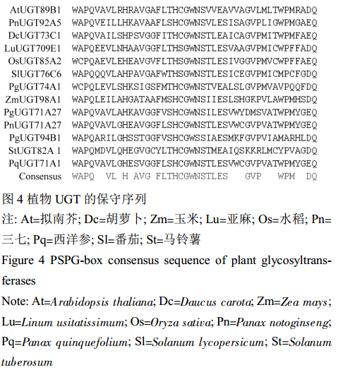 封面图片