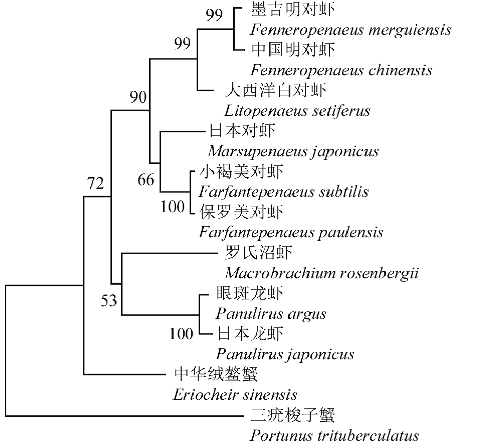 封面图片